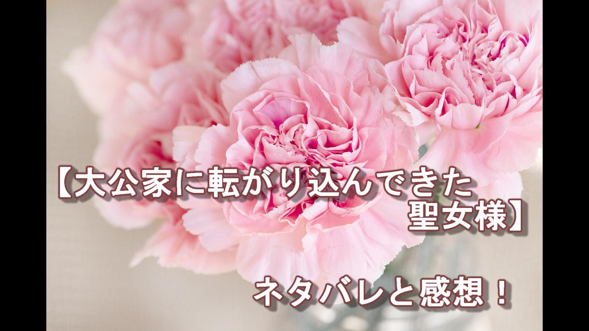 大公家に転がり込んできた聖女様【77話】ネタバレ|ちゃむlog